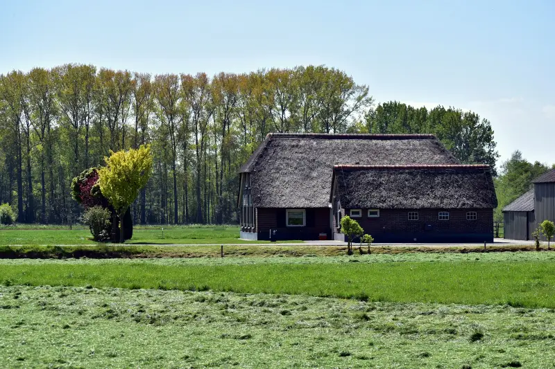 Aggregaat onderhoud Friesland: keuring en kosten 2026