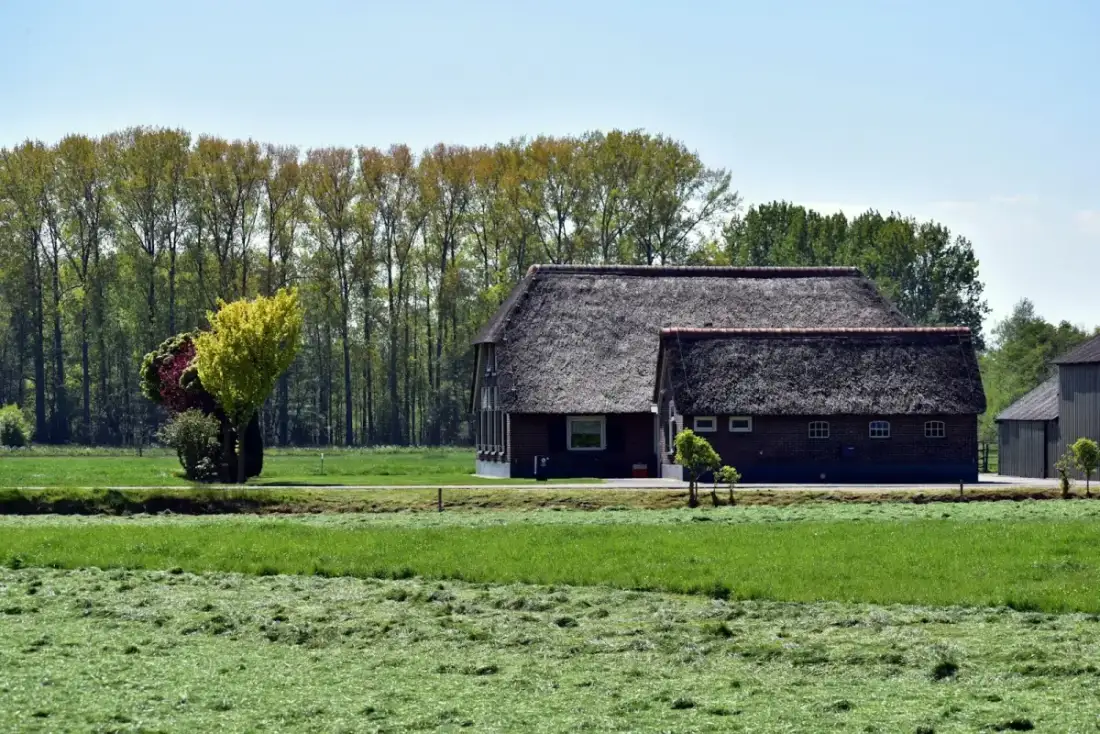 Aggregaat onderhoud Friesland: keuring en kosten 2026
