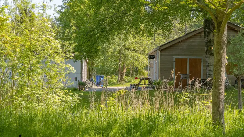 Noodstroom camping Friesland: aggregaat of batterij?